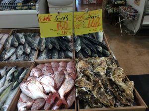 8987718C-0C1A-41D2-A2E8-982C66062F87